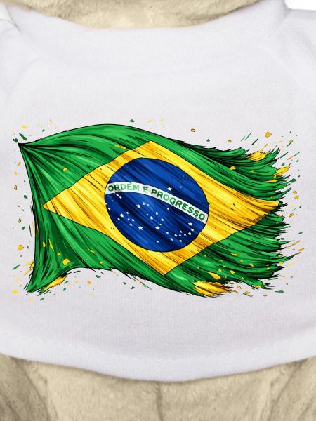 Drapeau brésilien Brésil