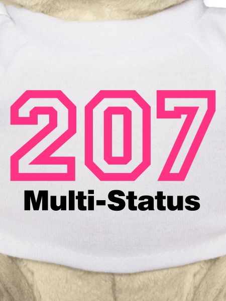 Error 207 Multi-Status