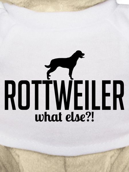 ROTTWEILER what else