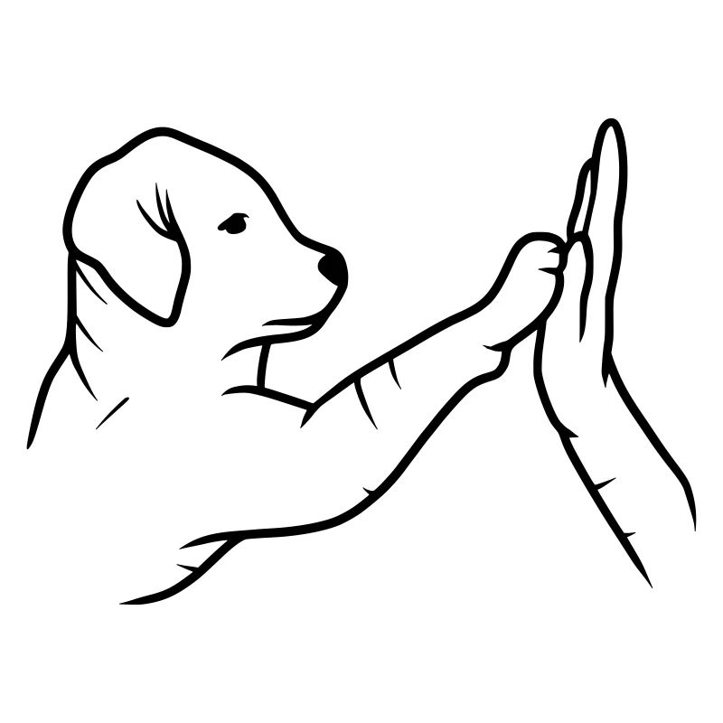 Gib Pfote Hund Hand