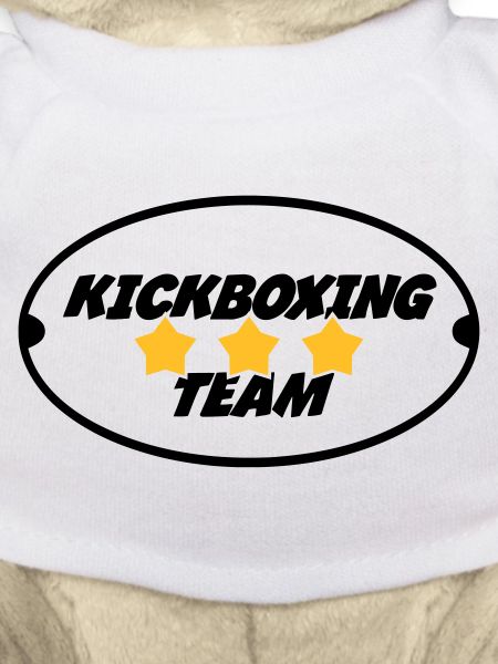 Kickboxing / Kick-Boxeur / Kick Boxing /