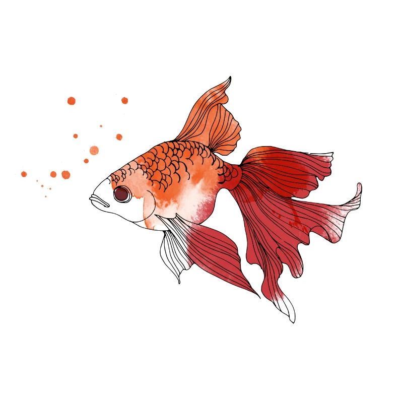 Gold fish