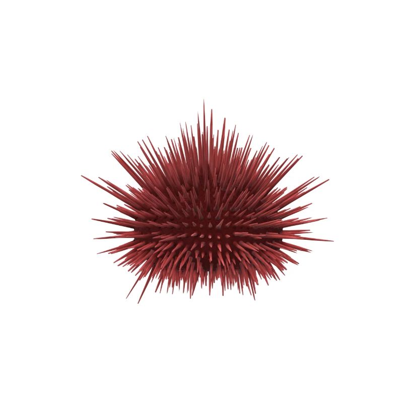 Seeigel