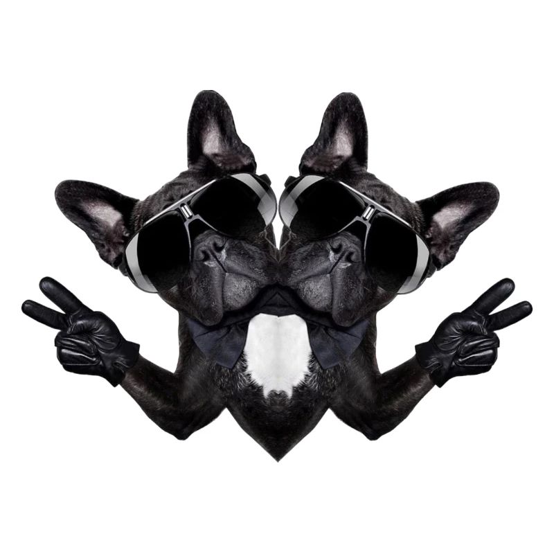 Chien abstrait
