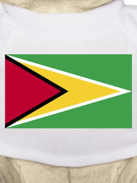 Guyana National Flag