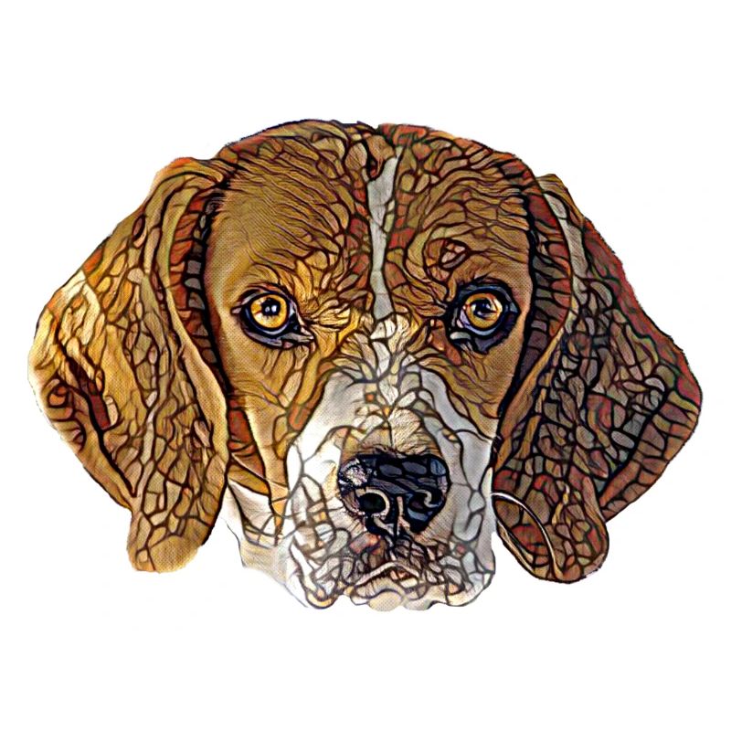 Visage de Beagle
