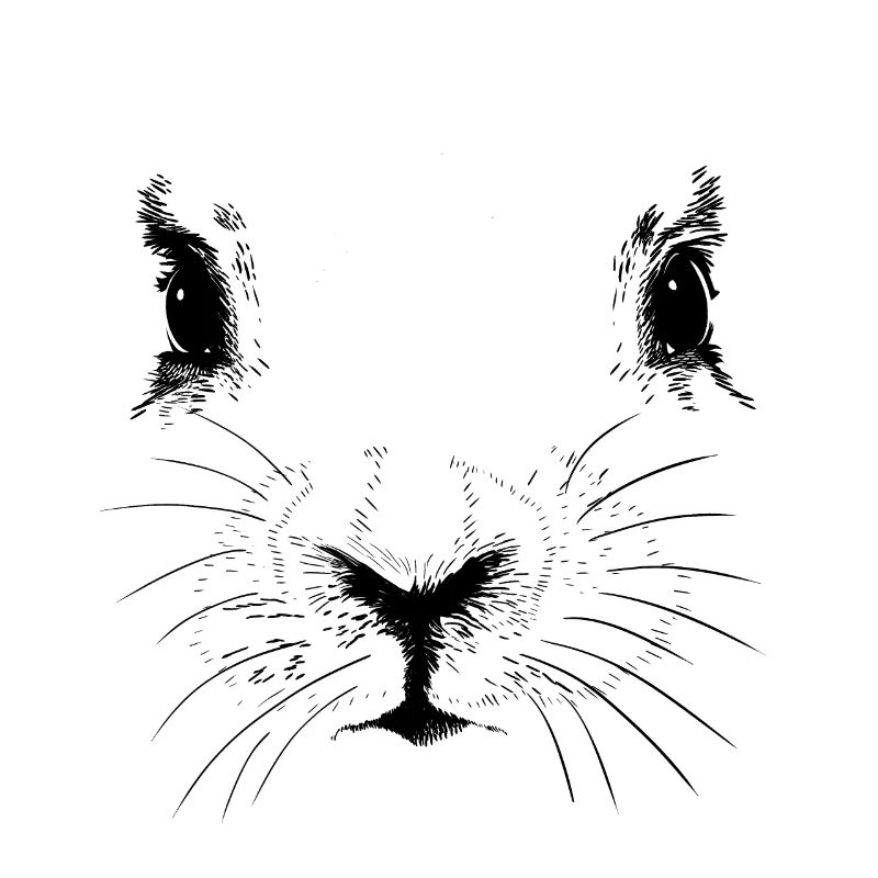 Hasen Gesicht