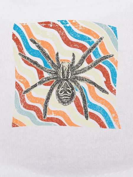 Spinne