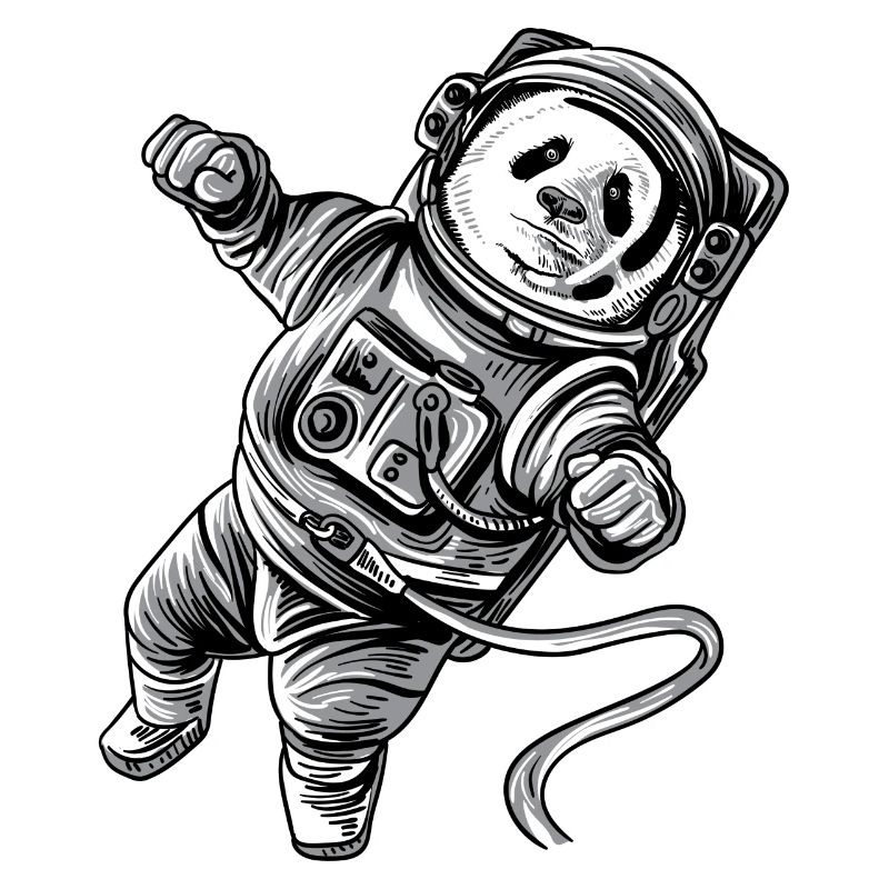 Panda d'astronaute dans l'espace Astropanda d'ours panda