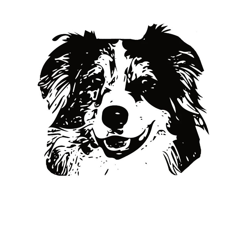 Australischer Schäferhund Australier