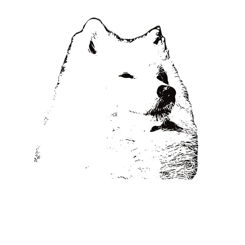 Samoyed