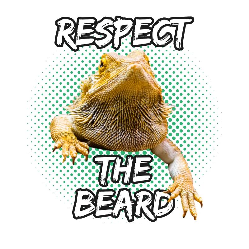 Respect The Beard Bearded Dragon Bartagame Echse