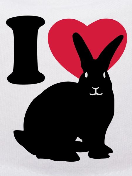 I love rabbits