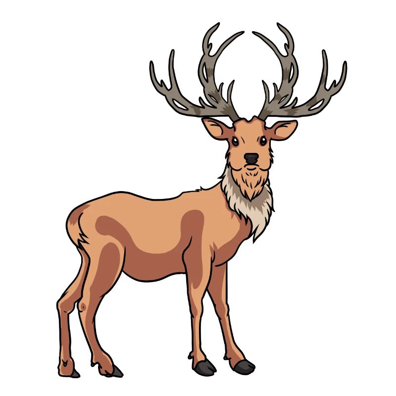 Epic Deer Red Deer Antler Wild