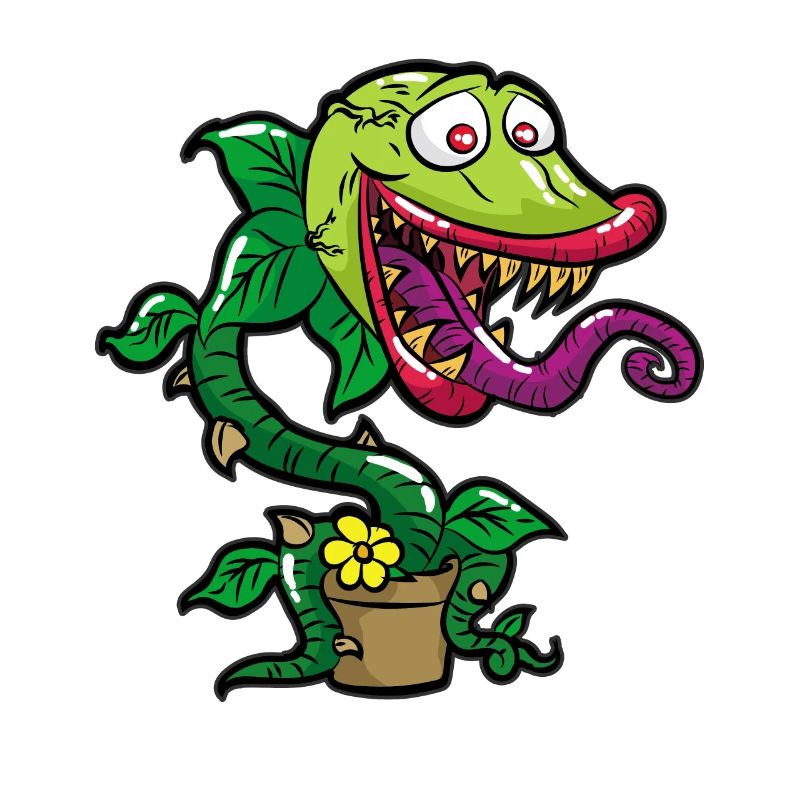 Venus Flytrap Fleichfressende Plfanze