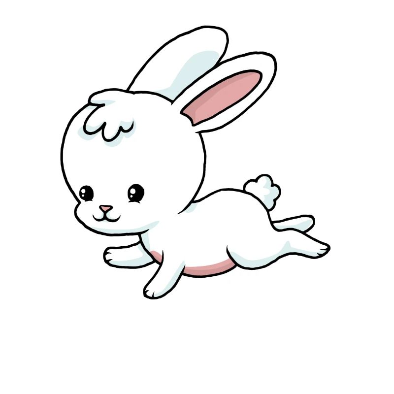 Petit lapin