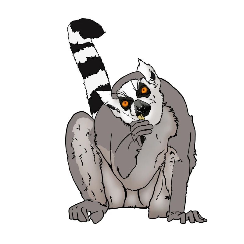 Idée cadeau amis Katta, Makis et Lemurs