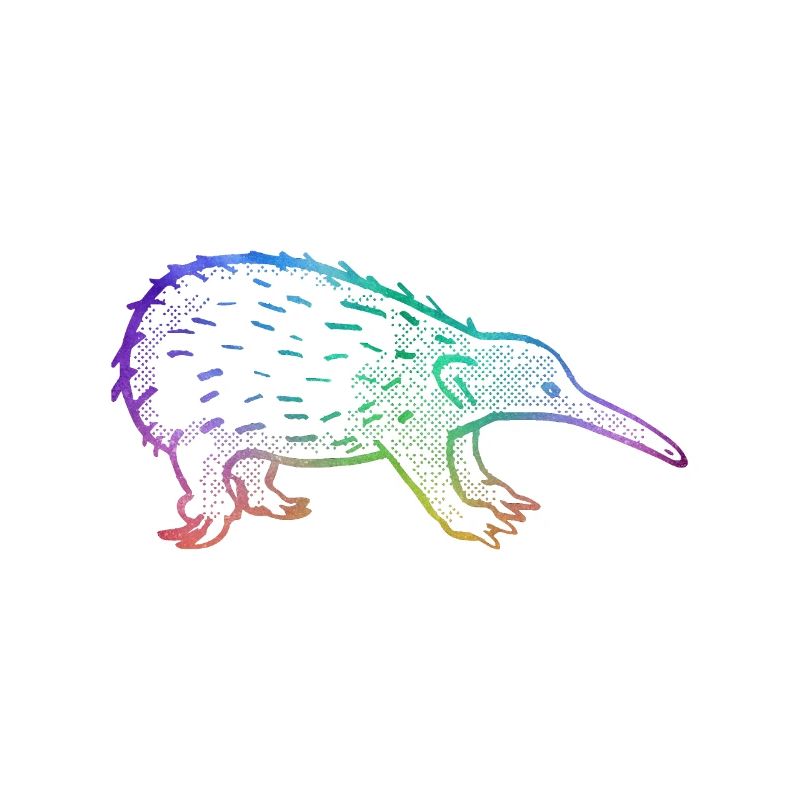Kurzschnabeligel Australien