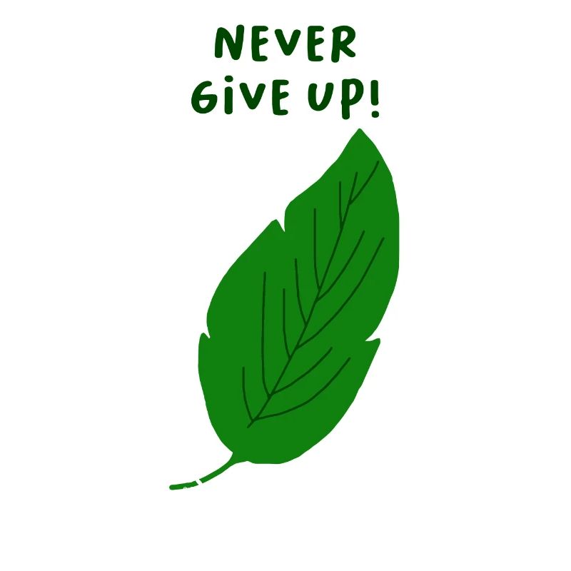 Never give up