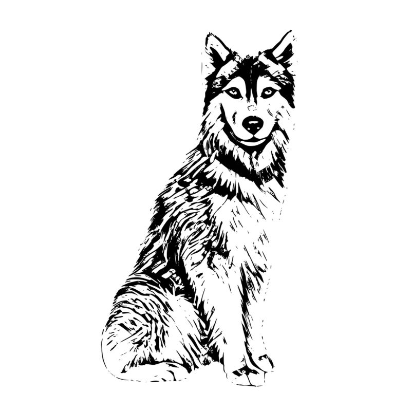 Husky