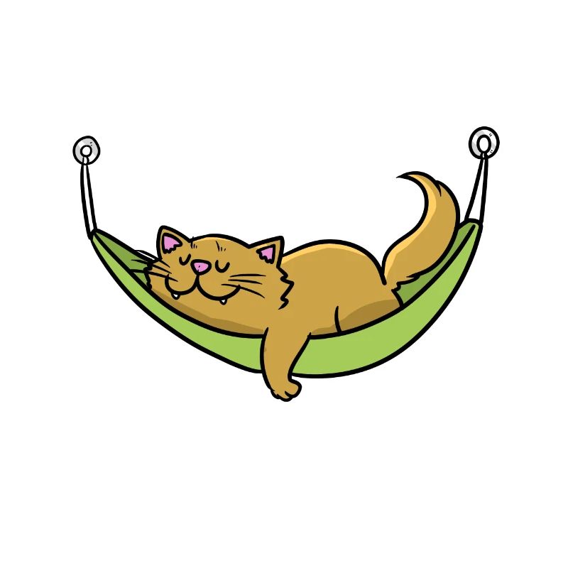 Cat Sleeps Hammock Vacation Beach