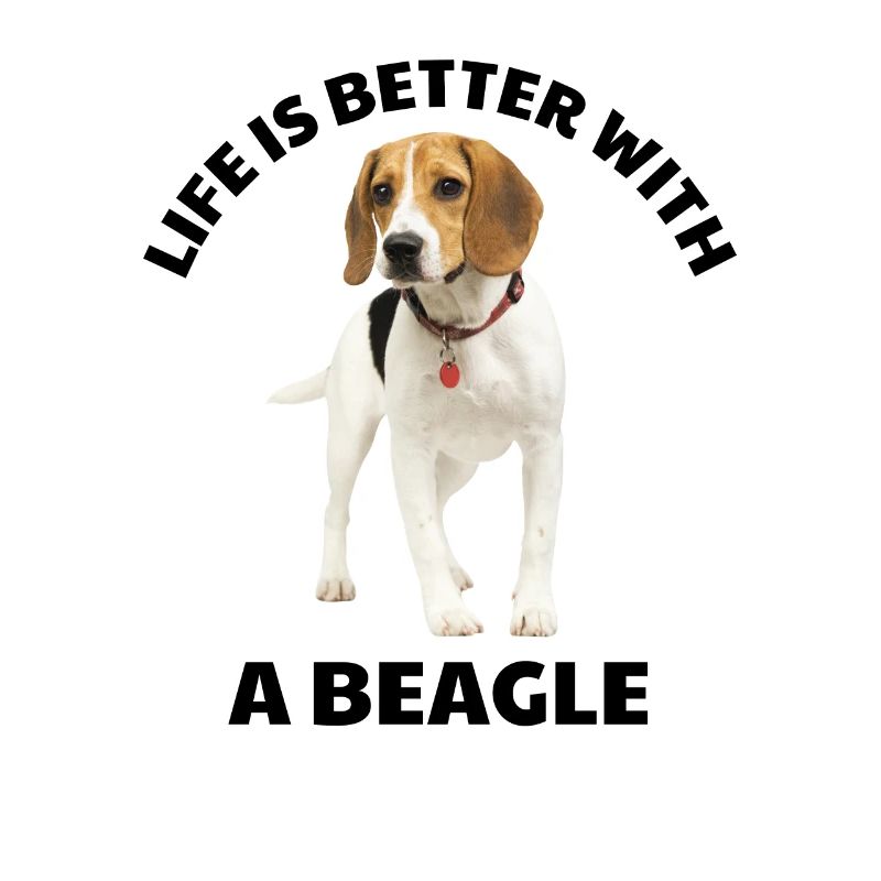 Mit einem Beagle ist das Leben besser