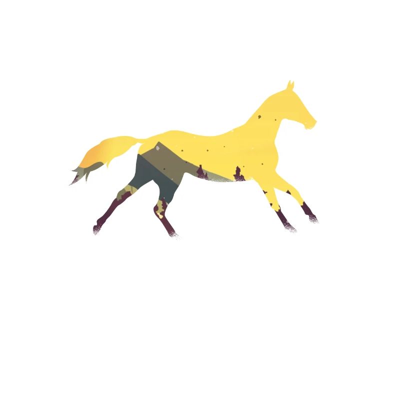 Wildpferd Pferd Pferde Wildpferde