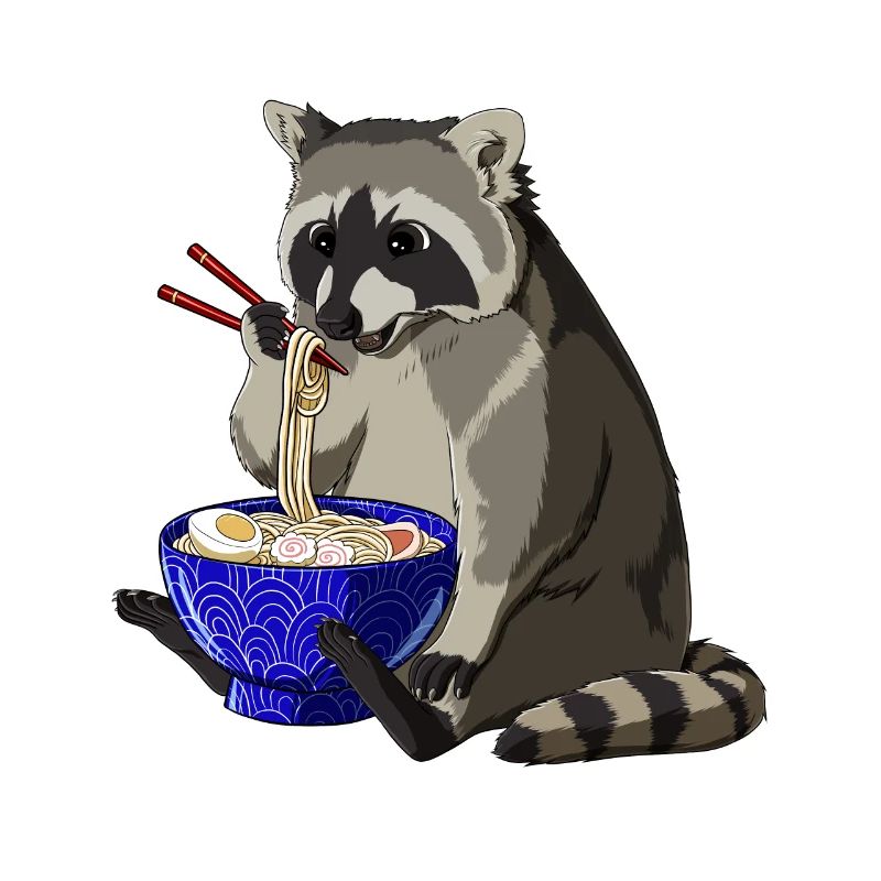 Waschbär Ramen