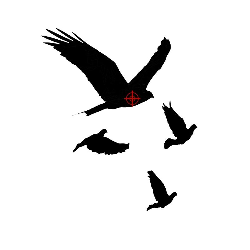 hawk vs pigeons