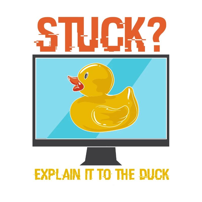 PROGRAMME: Explain It To The Duck