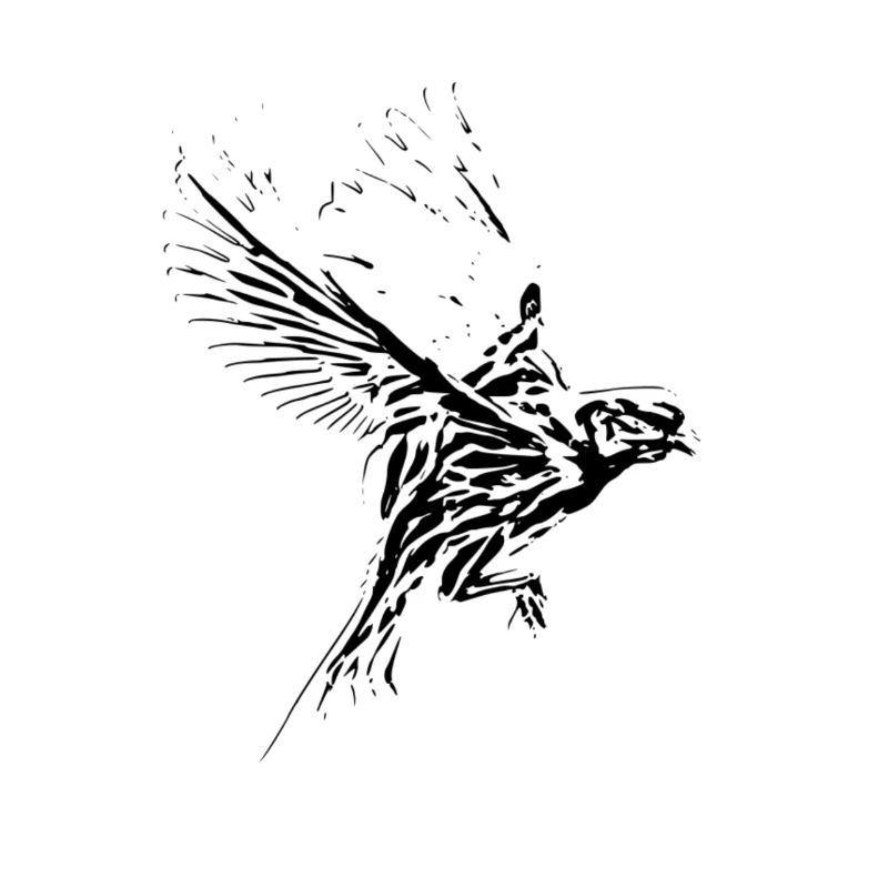 Oiseau