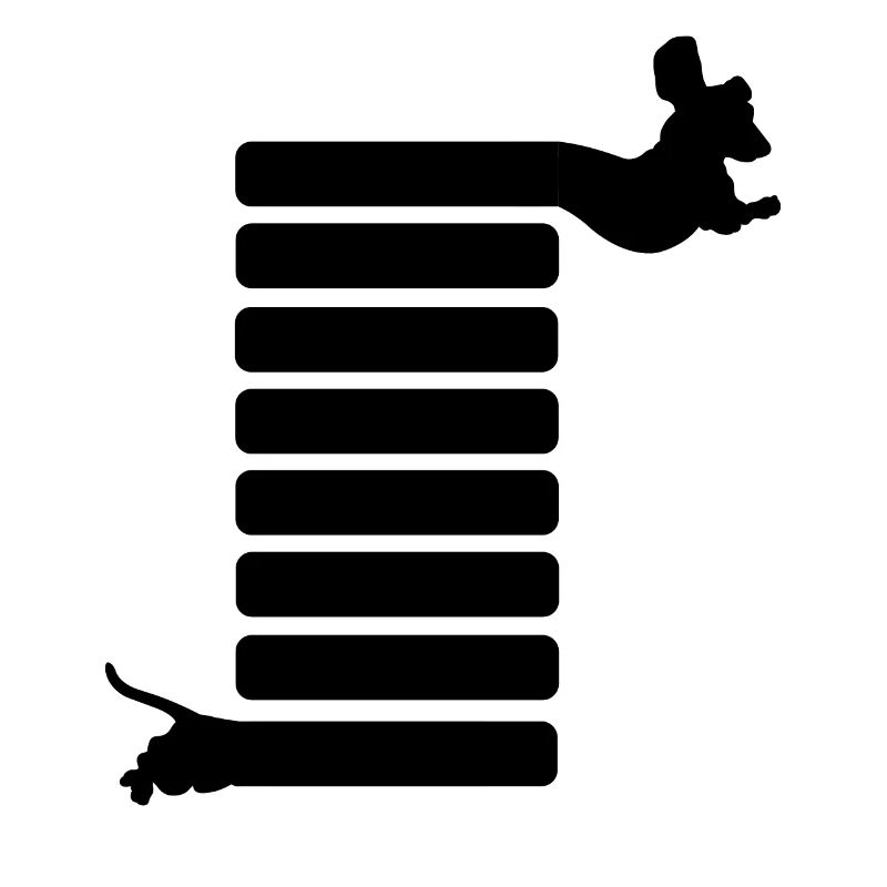 Teckel chien teckel chiot blaireau Chien de toit Long teckel
