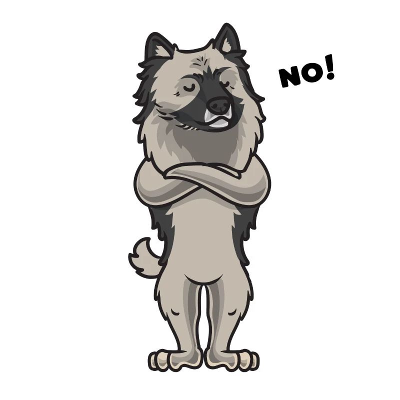 Stubborn Wolfsspitz Keeshond