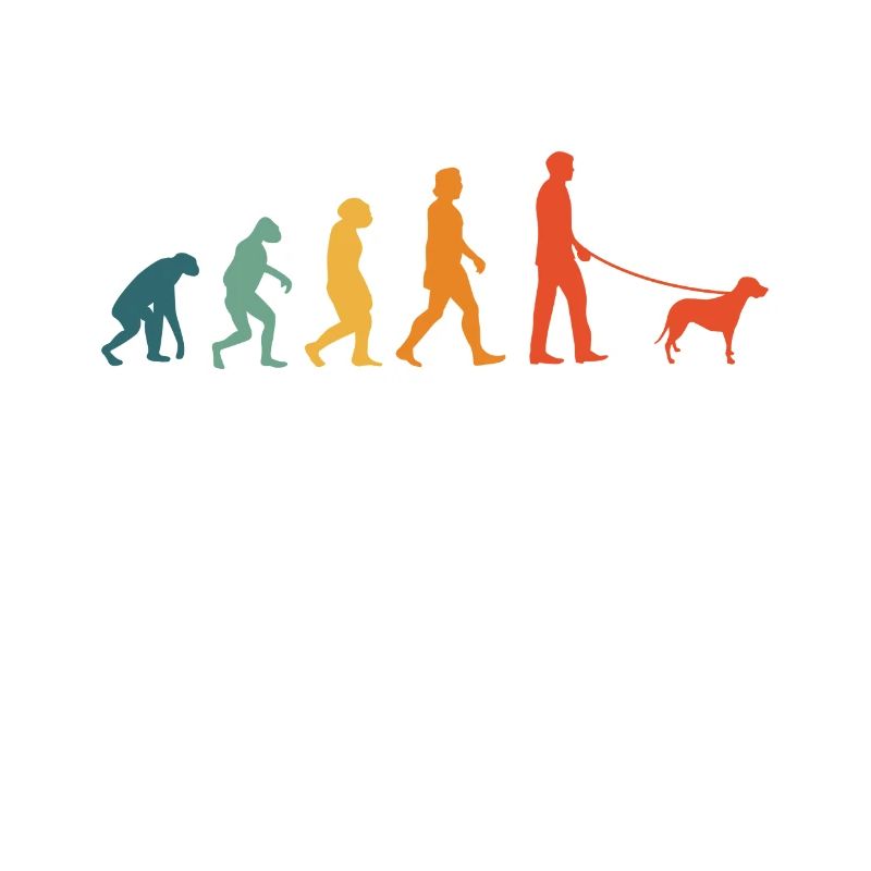 Brandlbracke Evolution Retro Bracke Hund