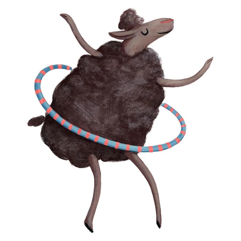 Schaf Hula hup