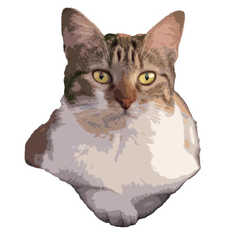 die Katze