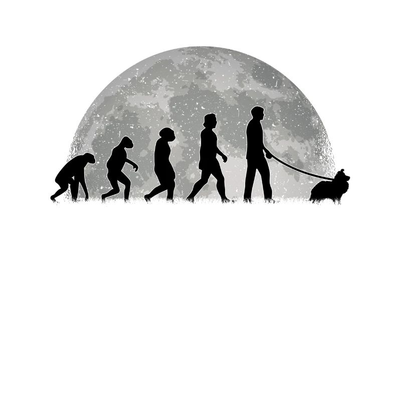 Sheltie Evolution Lune Shetland Berger