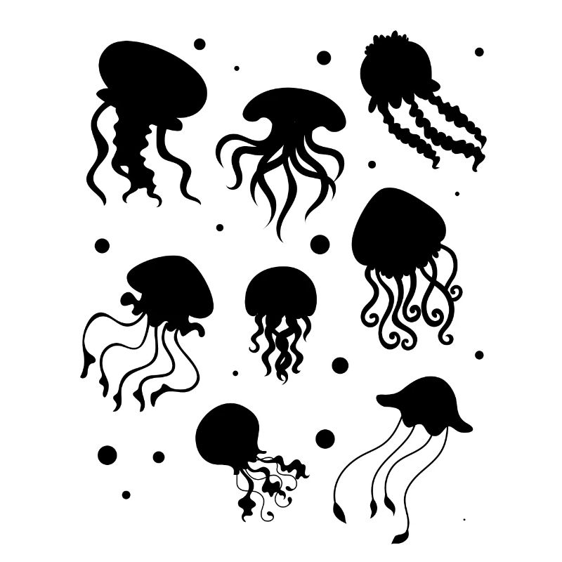 Méduses heureuses méduses méduses