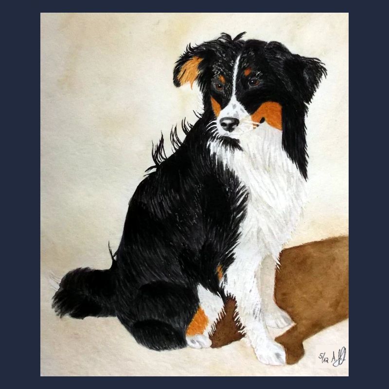 Sitzender Aussie Nanouk