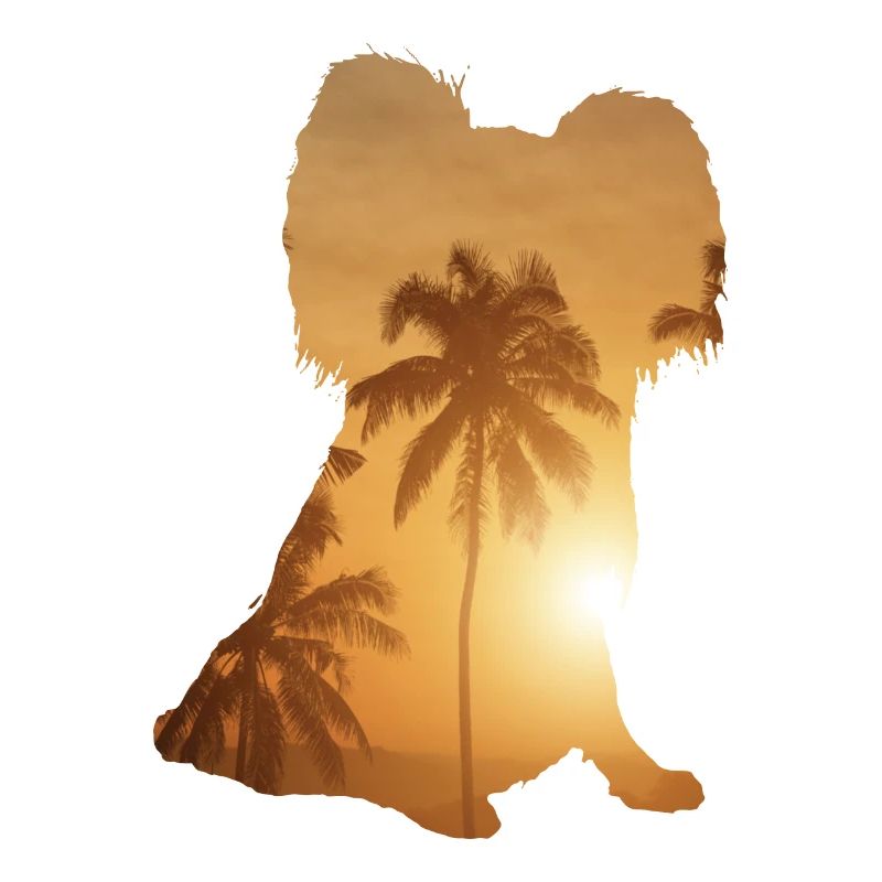Summer beach - Papillon