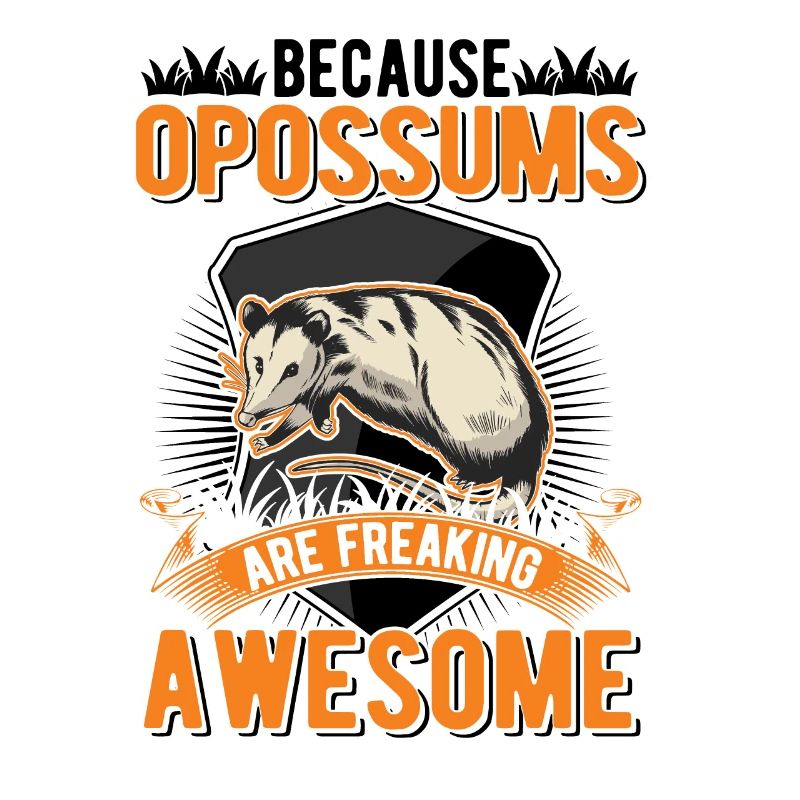 Because Opossums are freaking awesome