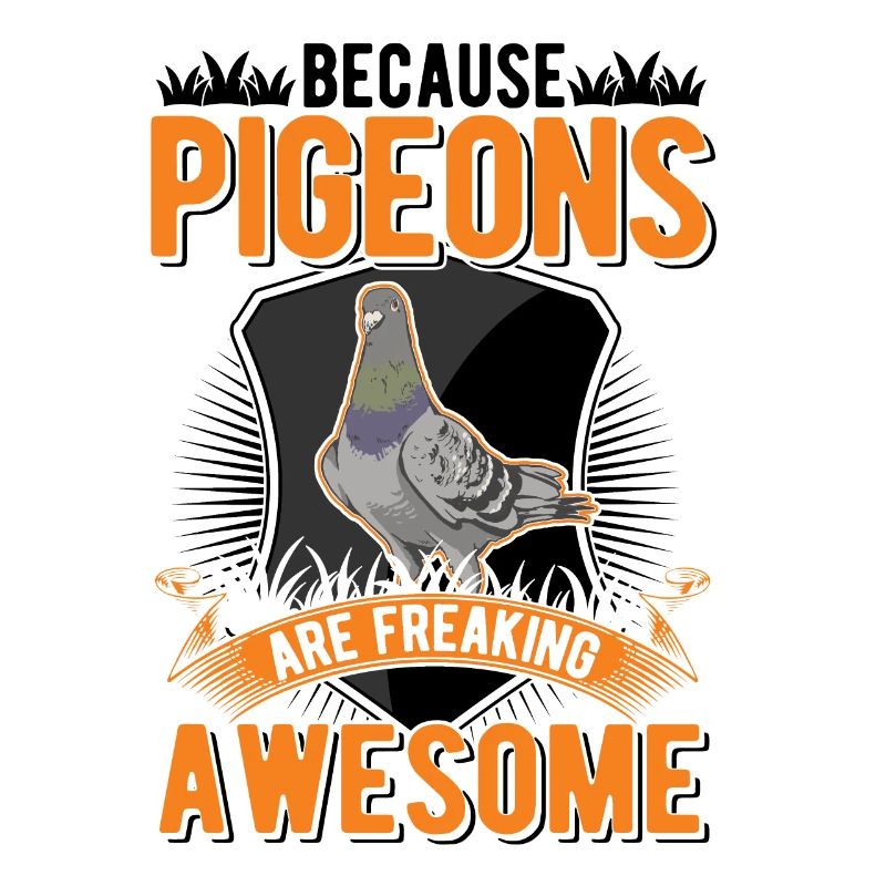 Parce que les pigeons flippent génial Taube