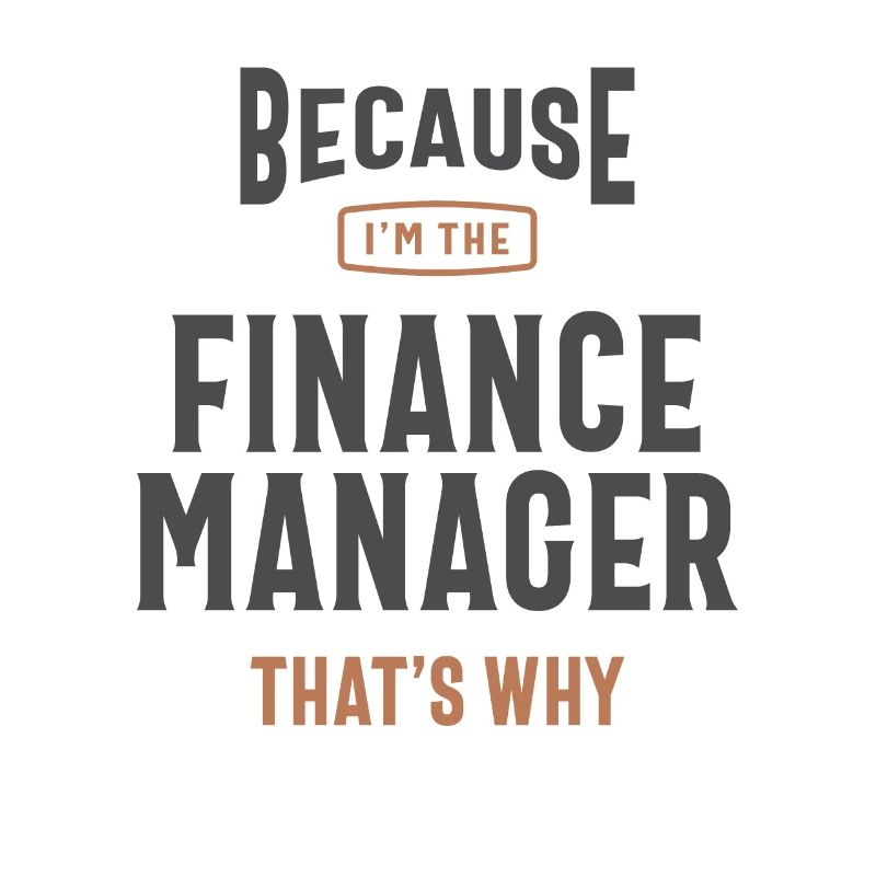 Beruf des Finanzmanagers