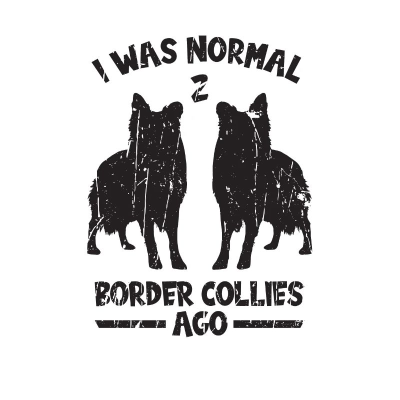 J’étais normal il y a 2 border collies - canin