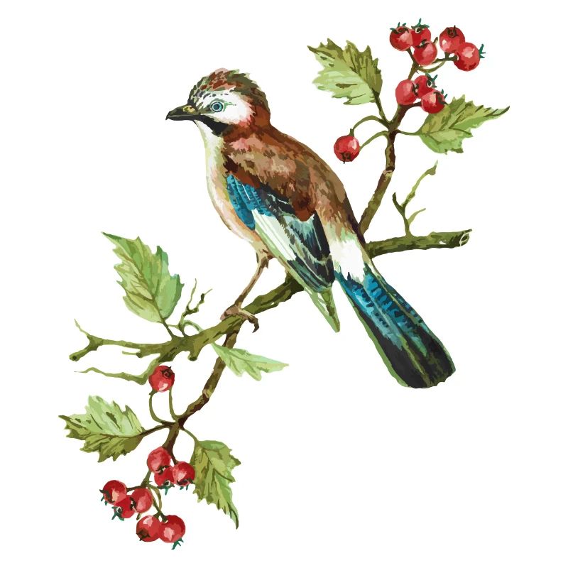 Bunter Vogel