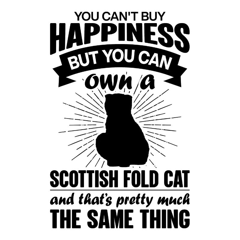 Peut acheter un chat Scottish Fold