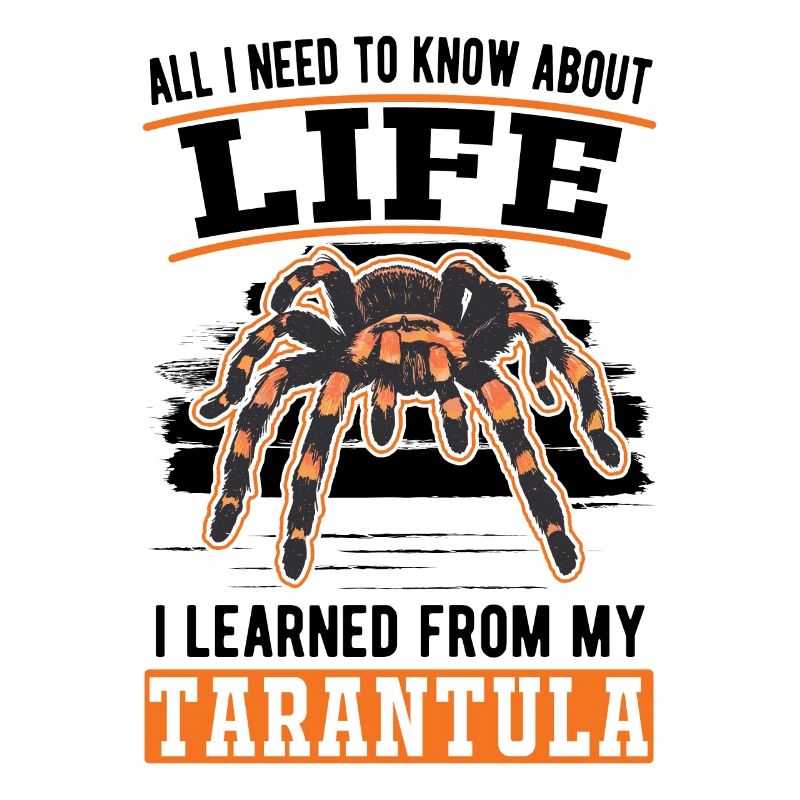 Tarantel Spinne Tarantula