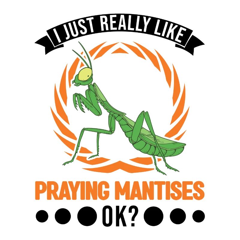 Gottesanbeterin Geschenk Mantis Fangschrecke