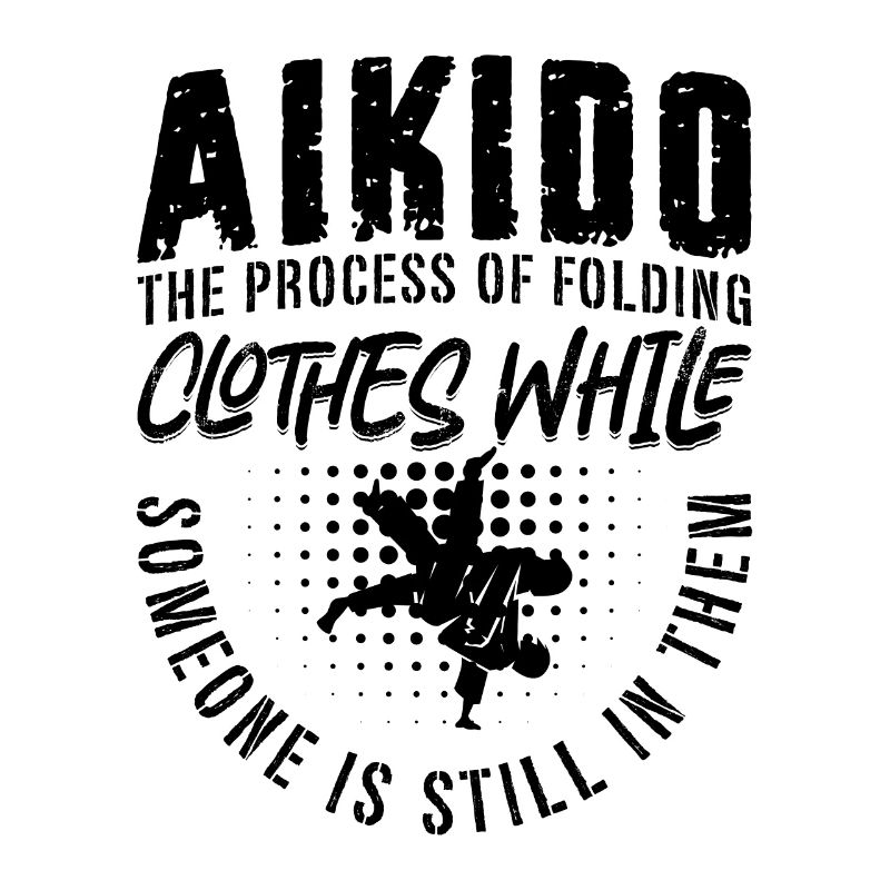 Aikido The Process Samurai Fighter Martial Arts