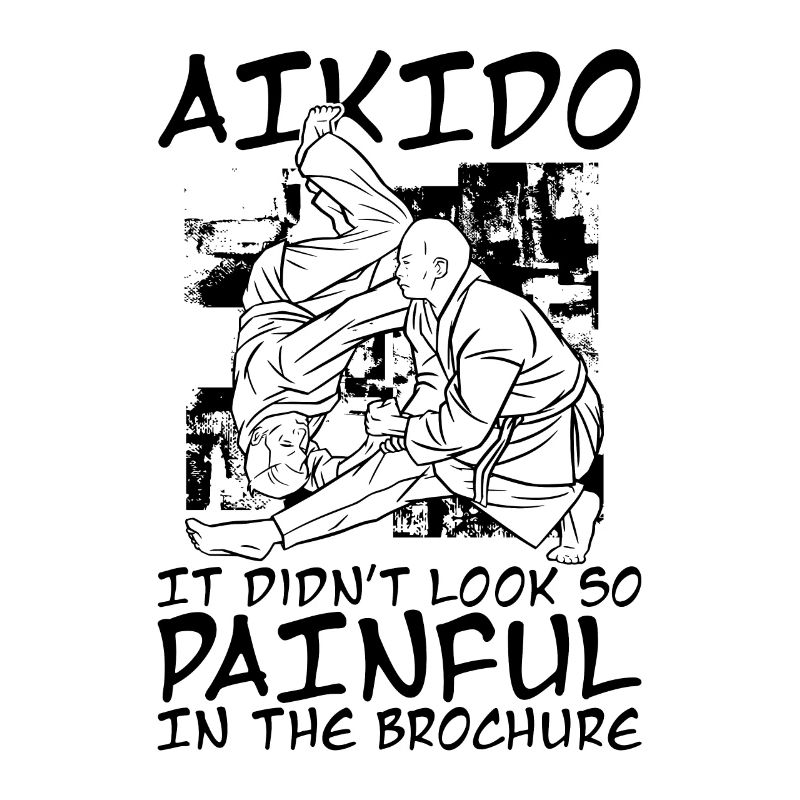It Didn't Look So Painful Aikido Martial Samurai